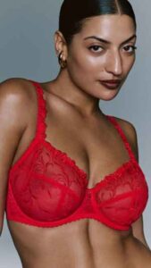 PrimaDonna lingerie